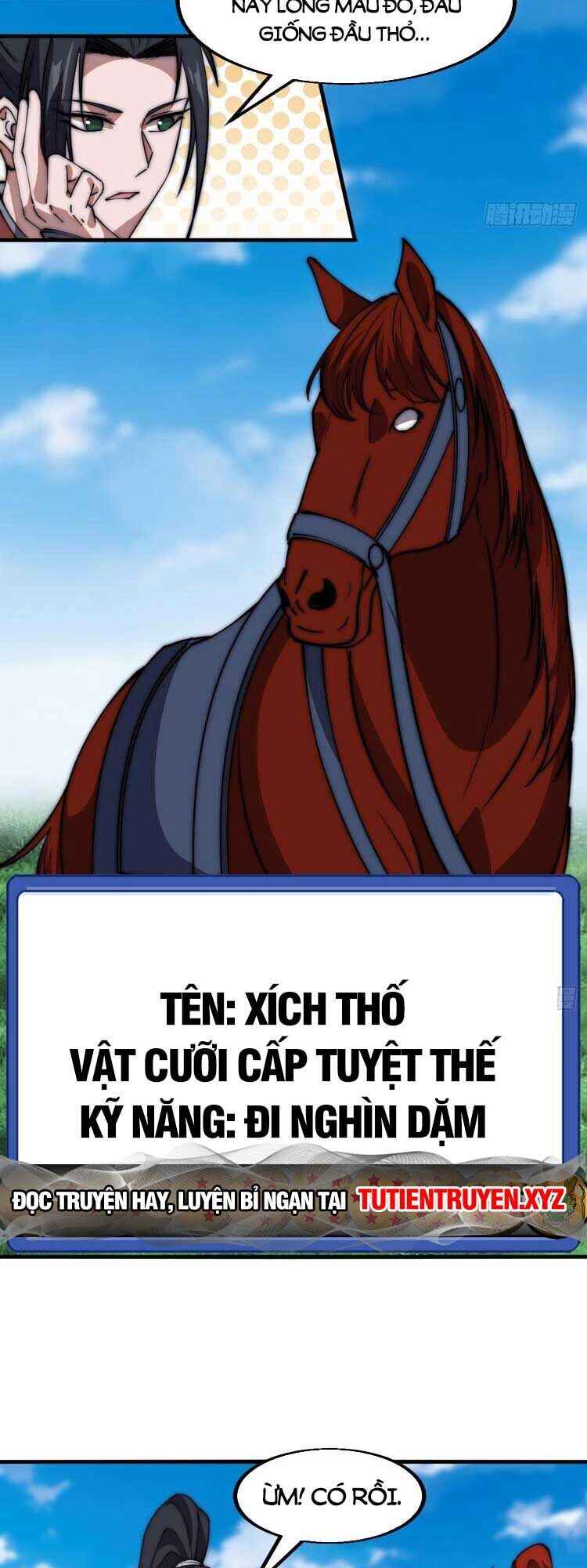 Rise of the Mountain Chief
