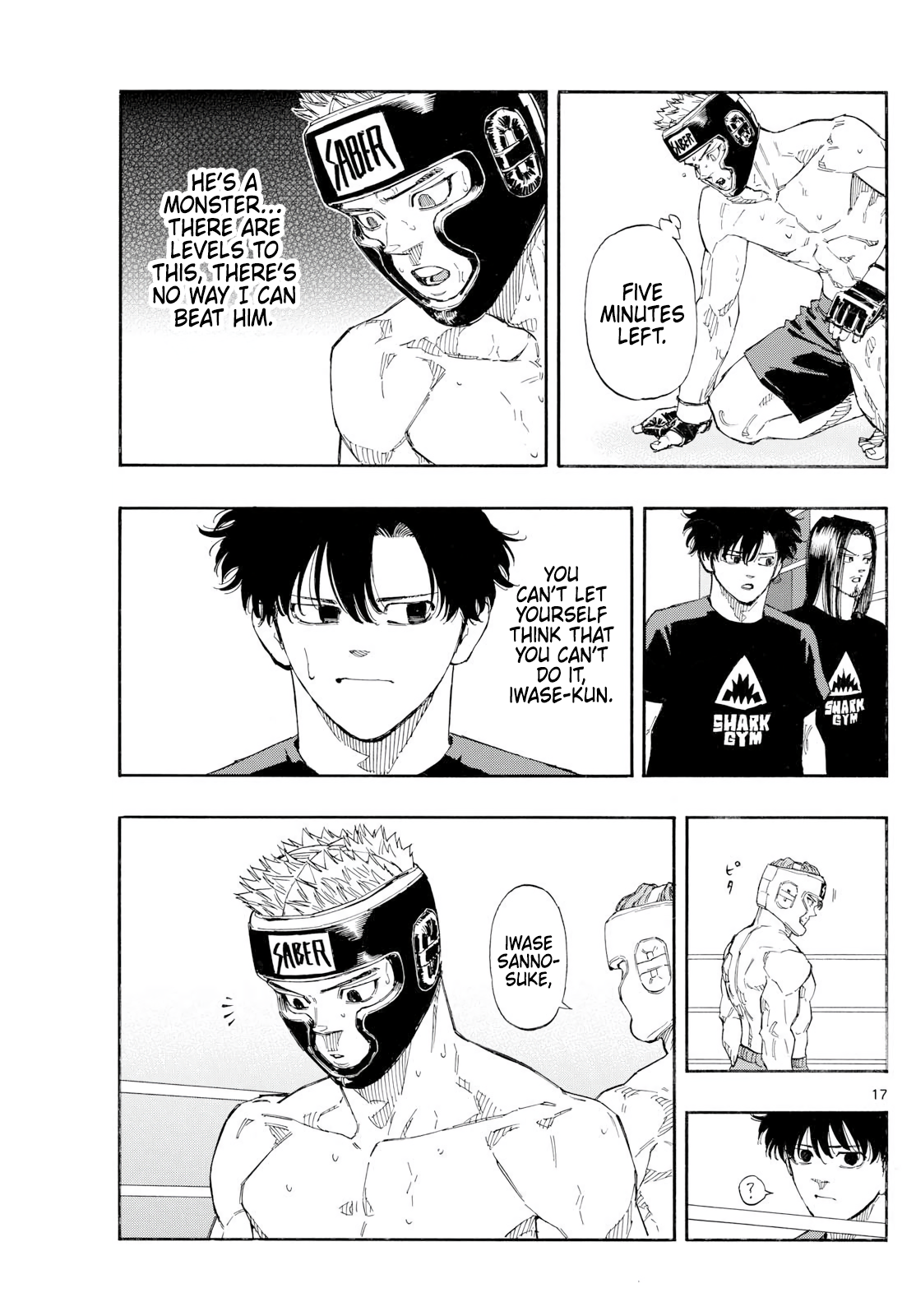 Page 17
