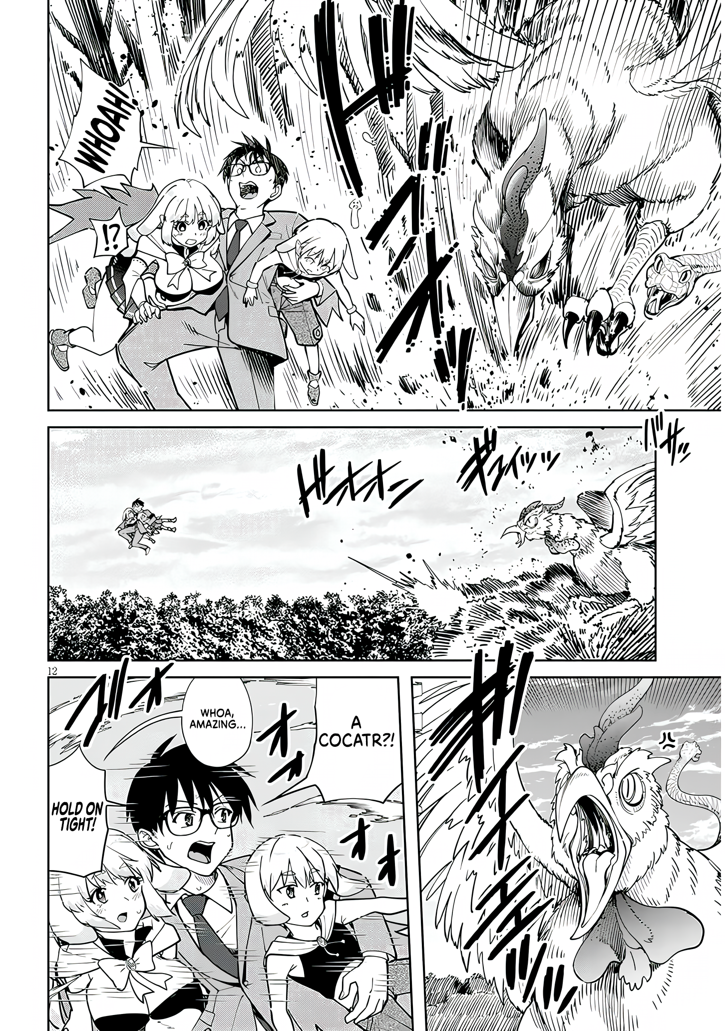 Page 12