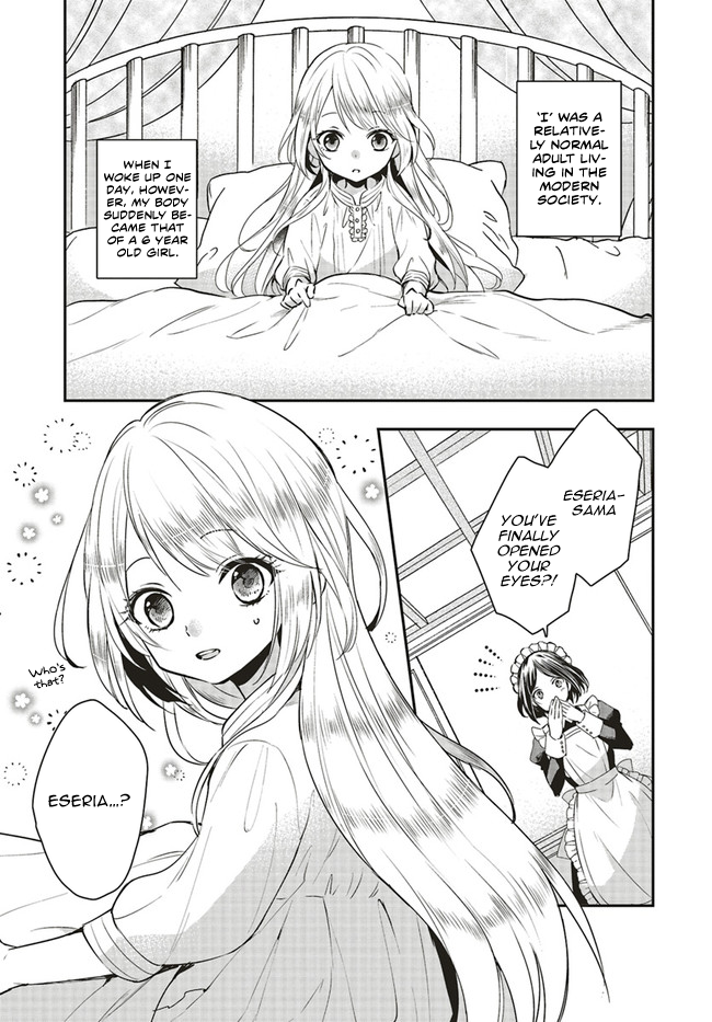 Chapter 1.1 page