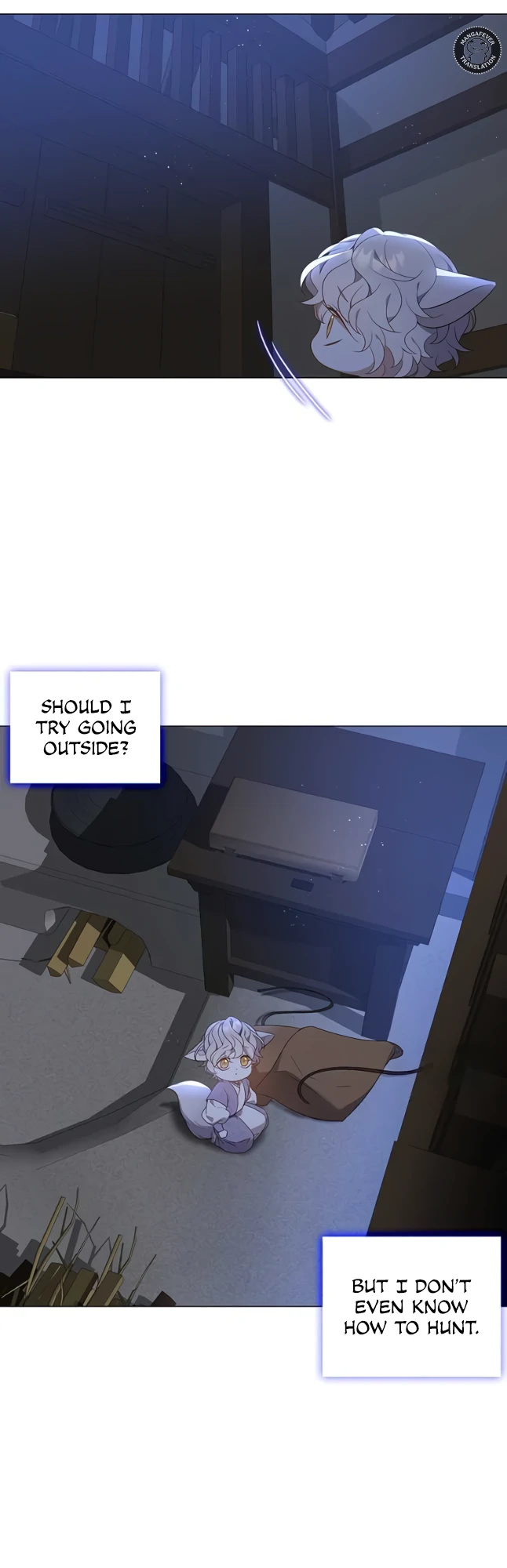 41