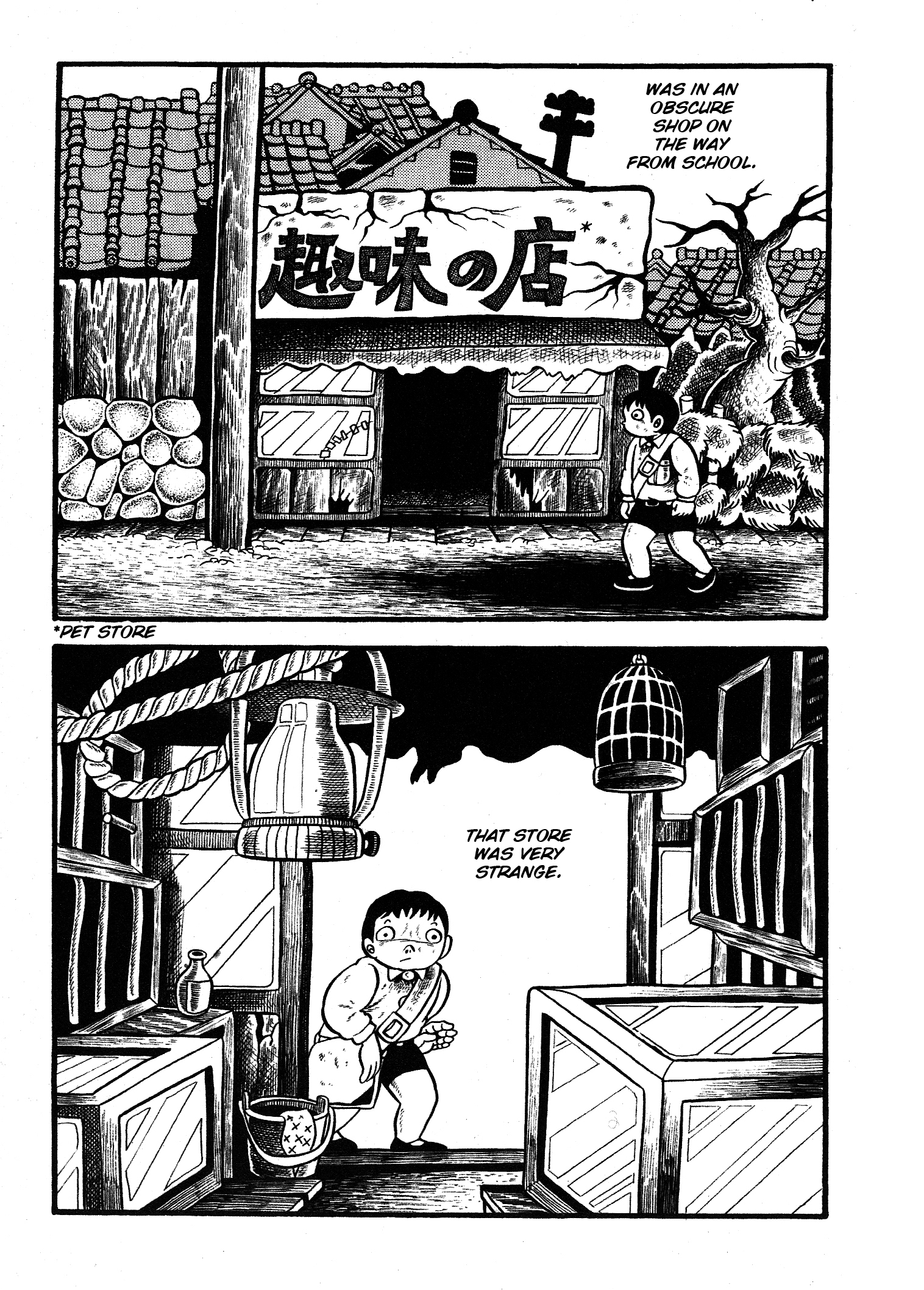 66