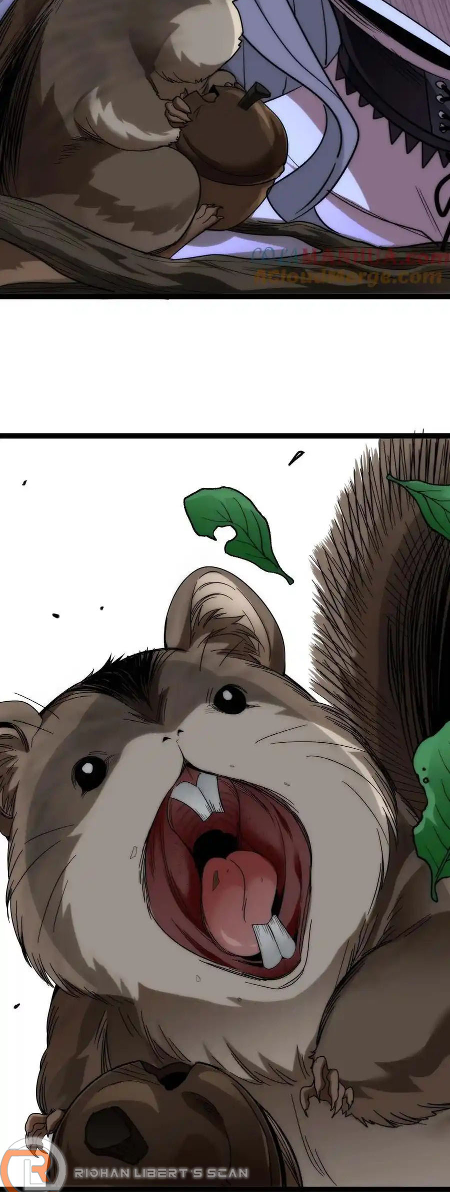 23