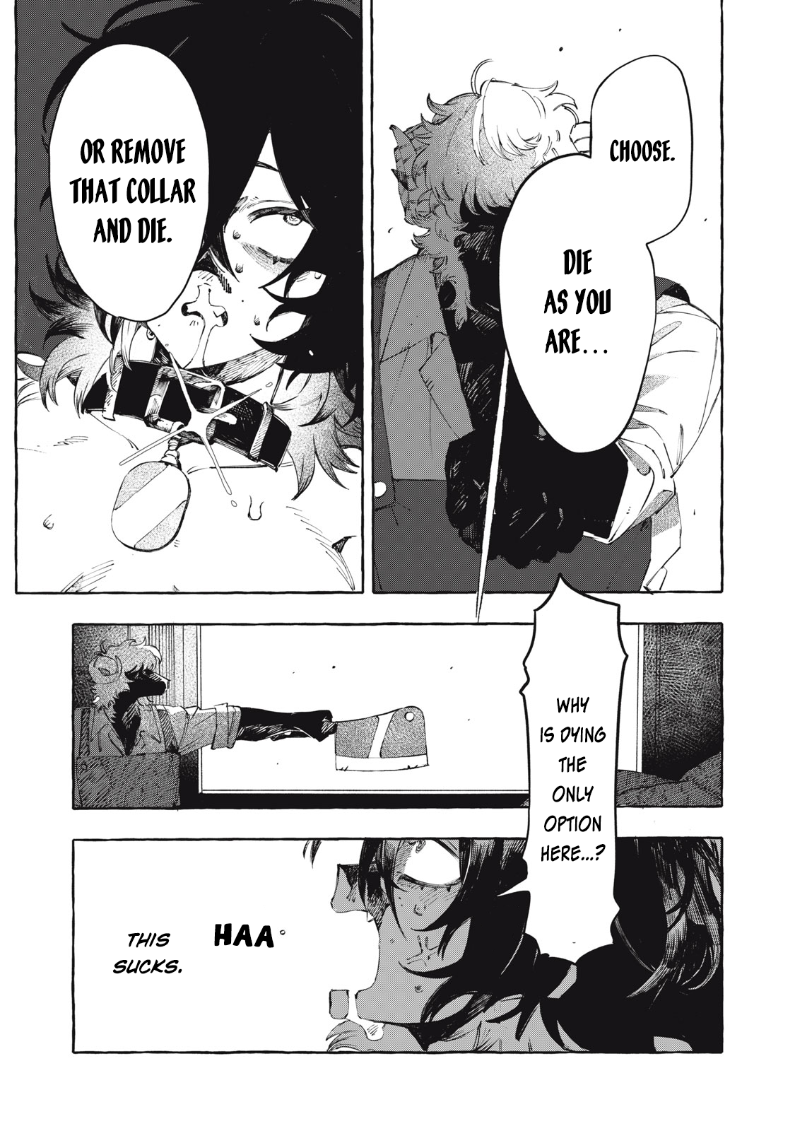 41