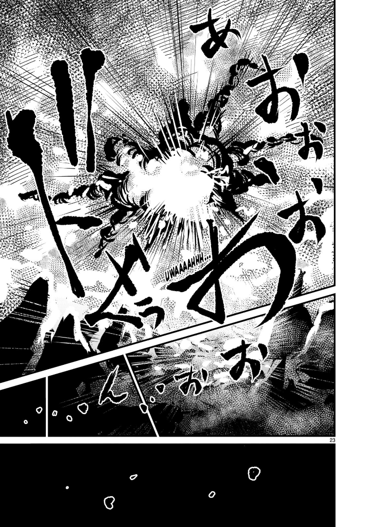 23