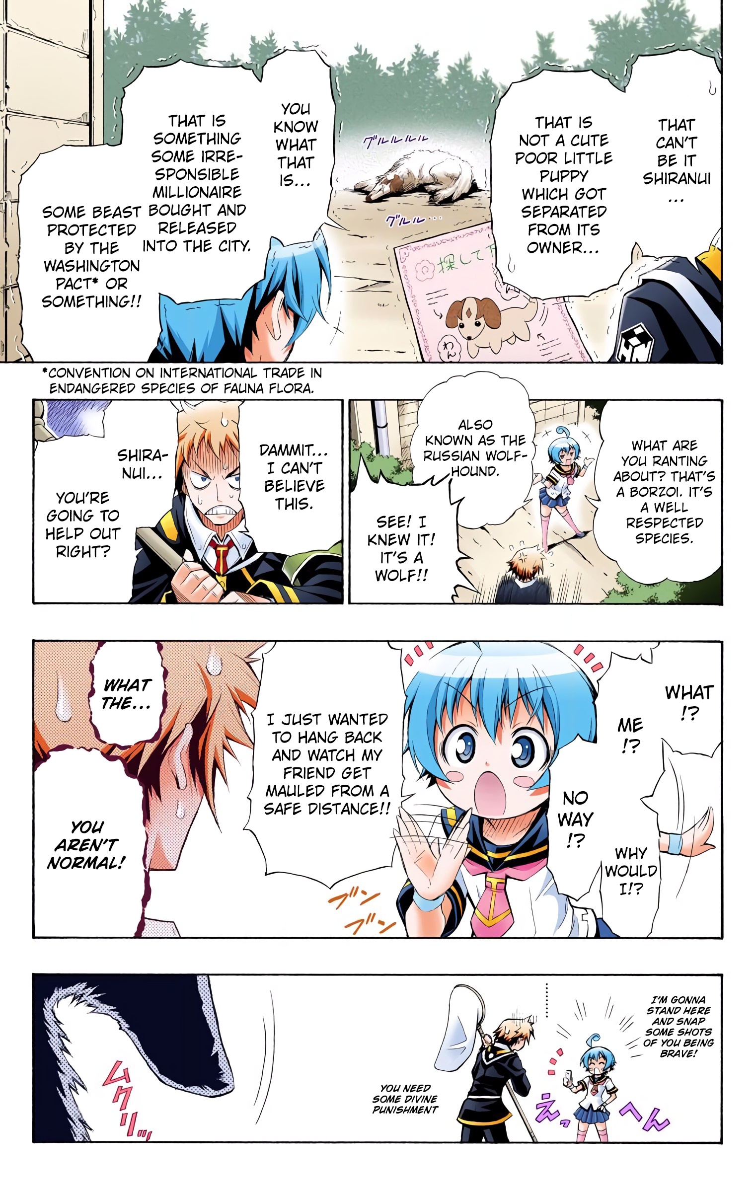7