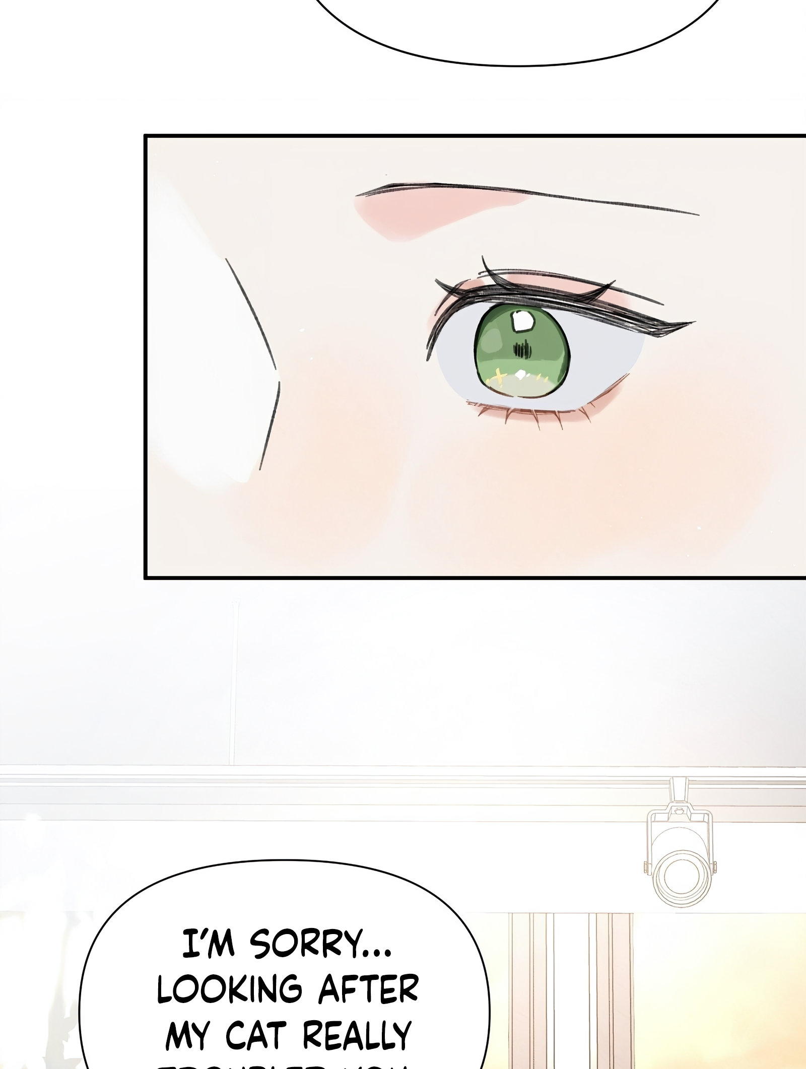 54