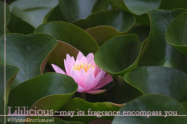 Halaman dari Maya's Funeral Procession Chapter N/A