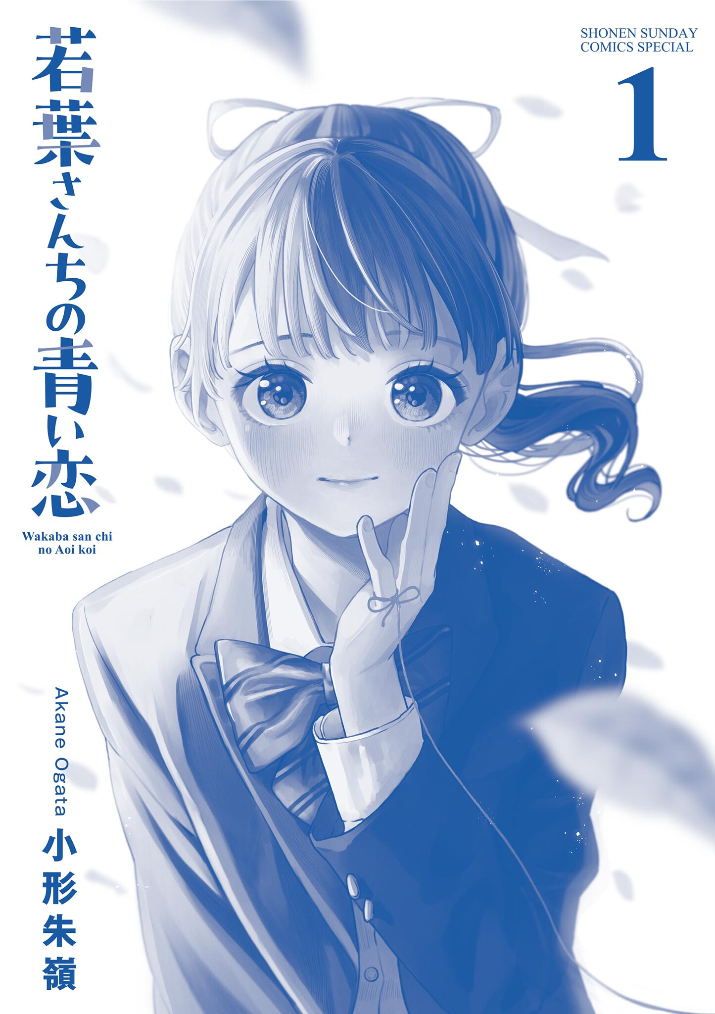 17