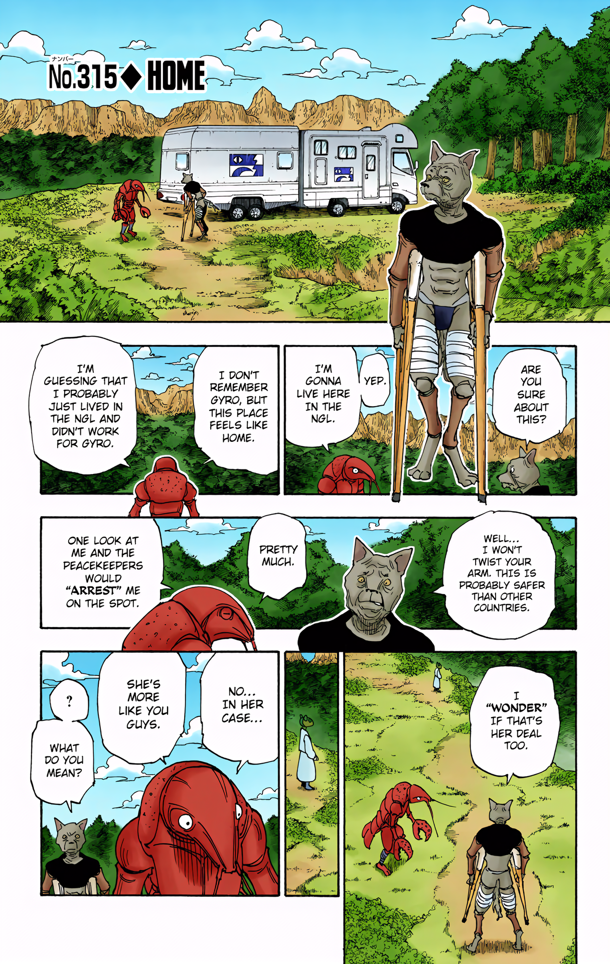 Halaman dari HUNTER x HUNTER (Official Colored) Chapter 315
