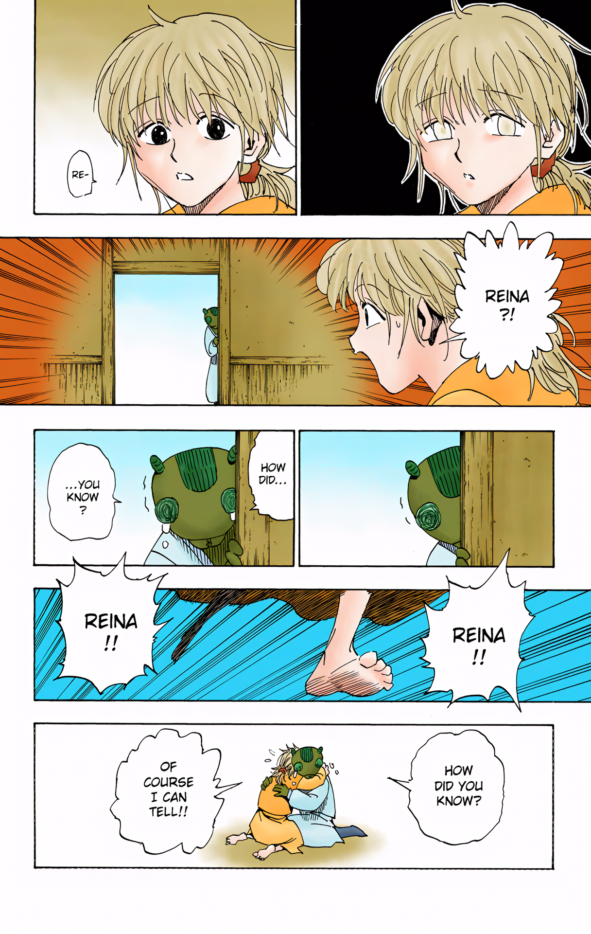 Halaman dari HUNTER x HUNTER (Official Colored) Chapter 315