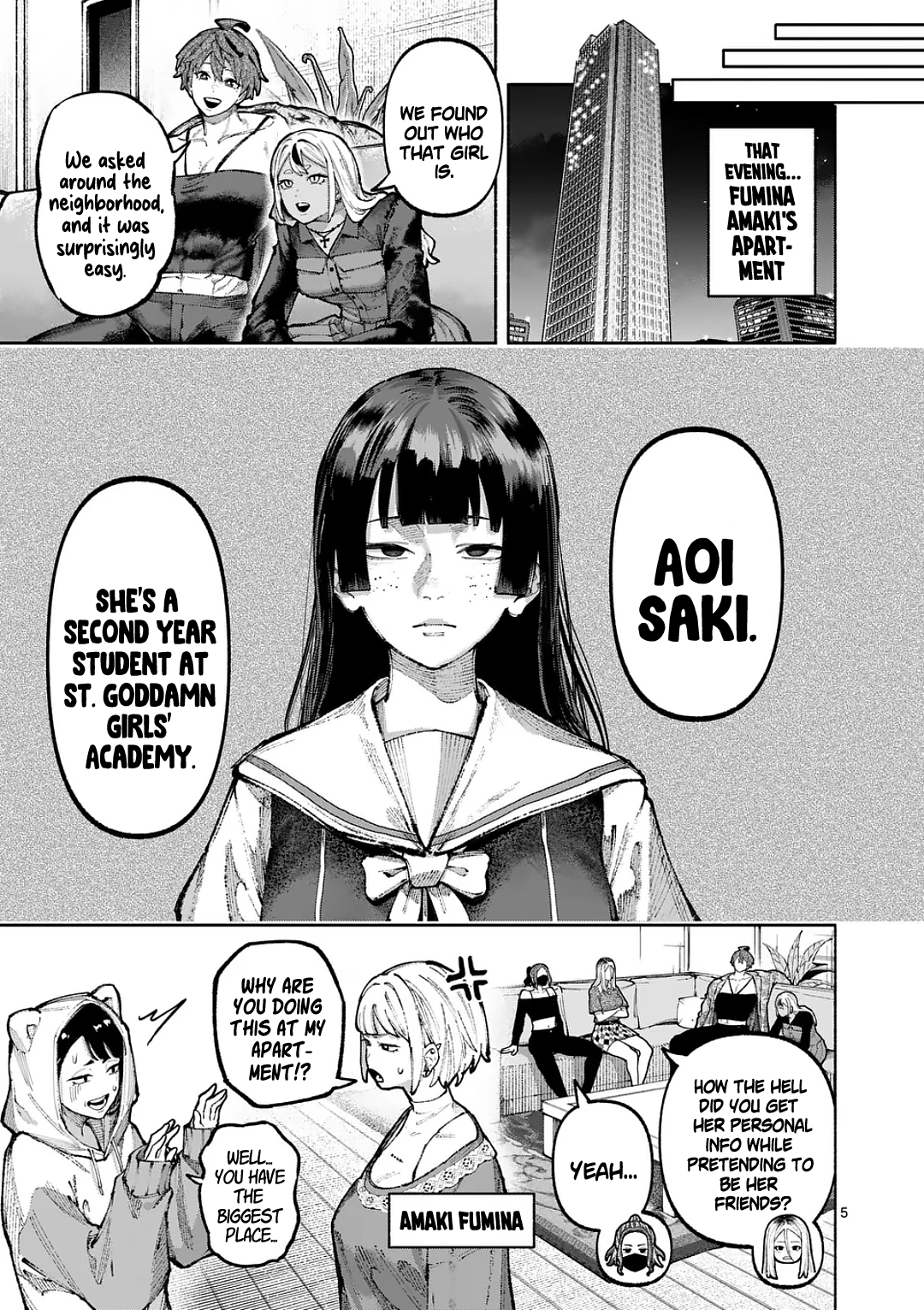 Page 5