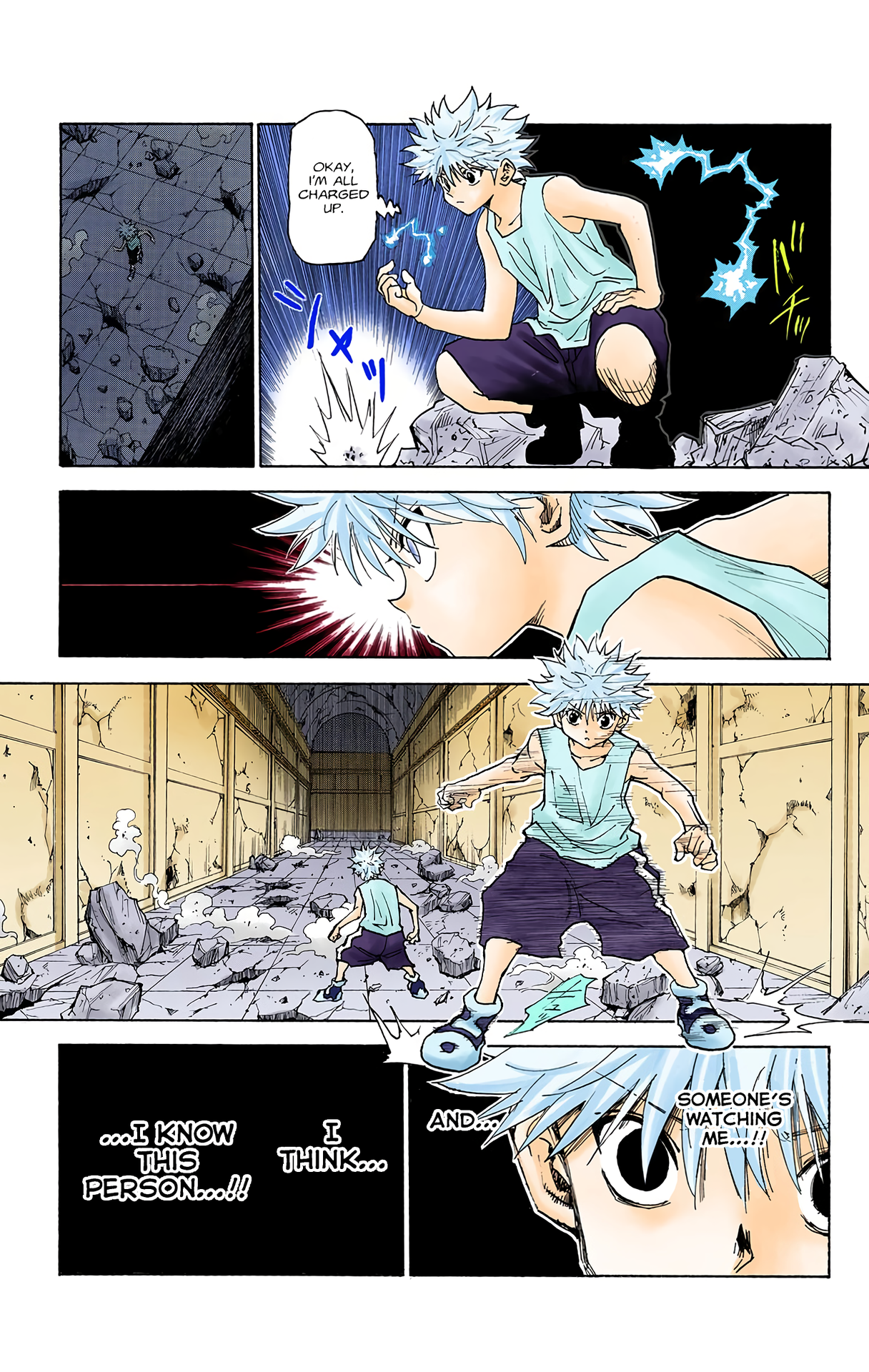 Halaman dari HUNTER x HUNTER (Official Colored) Chapter 293