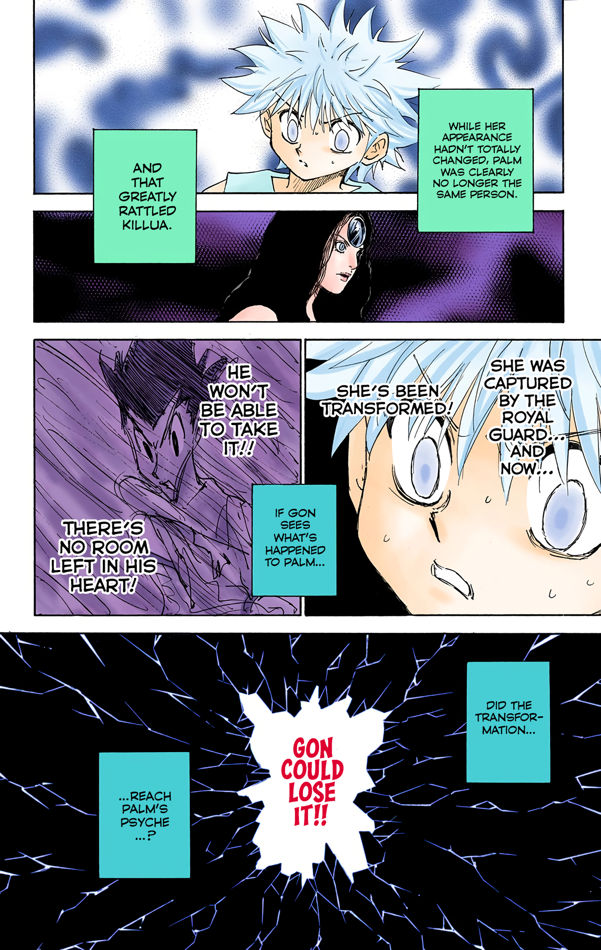 Halaman dari HUNTER x HUNTER (Official Colored) Chapter 293
