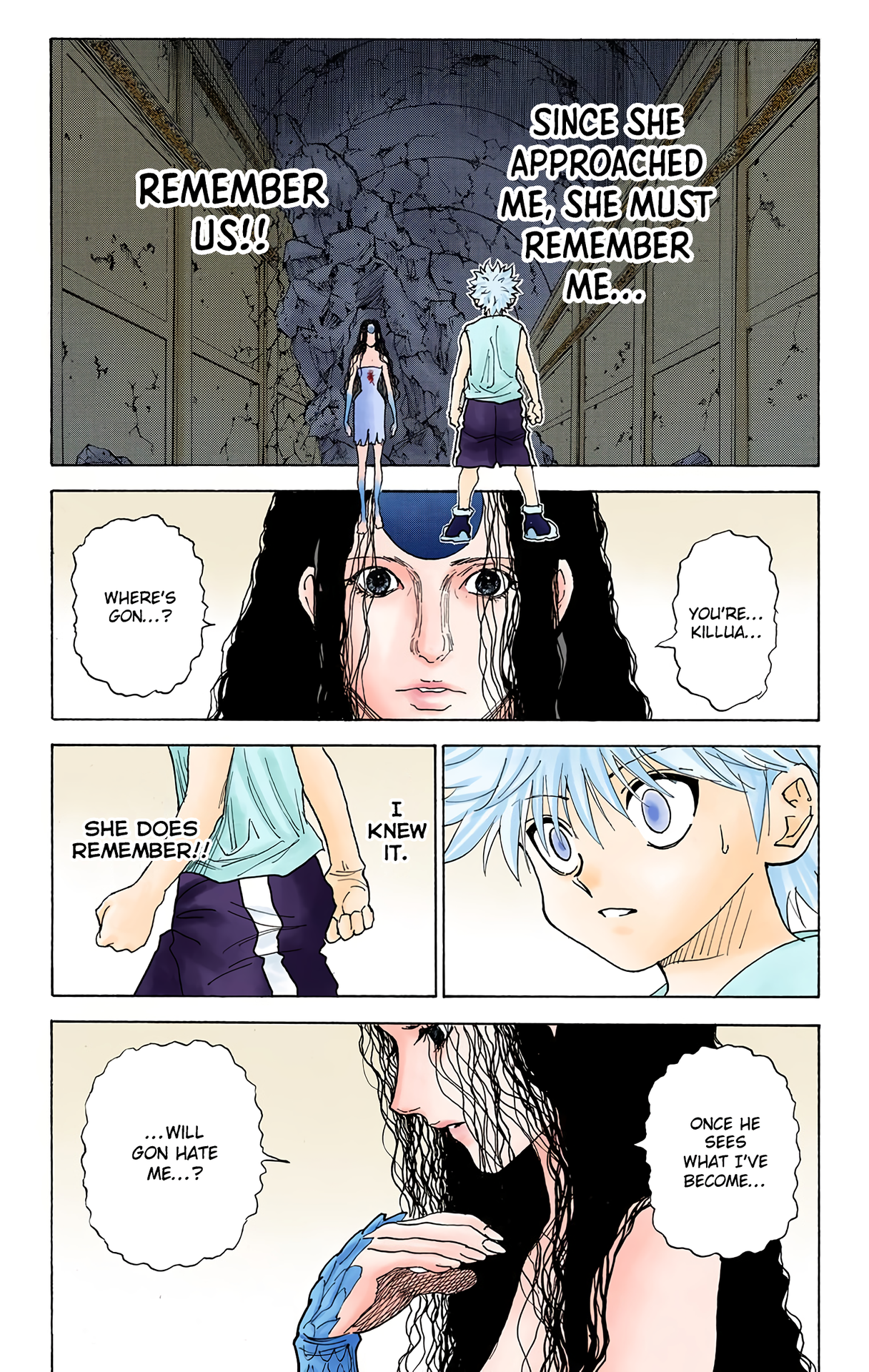 Halaman dari HUNTER x HUNTER (Official Colored) Chapter 293