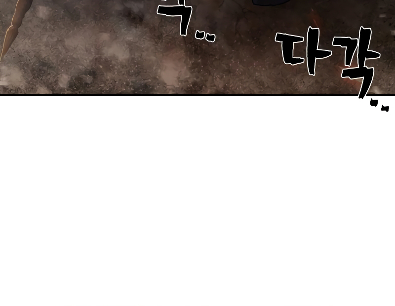 81