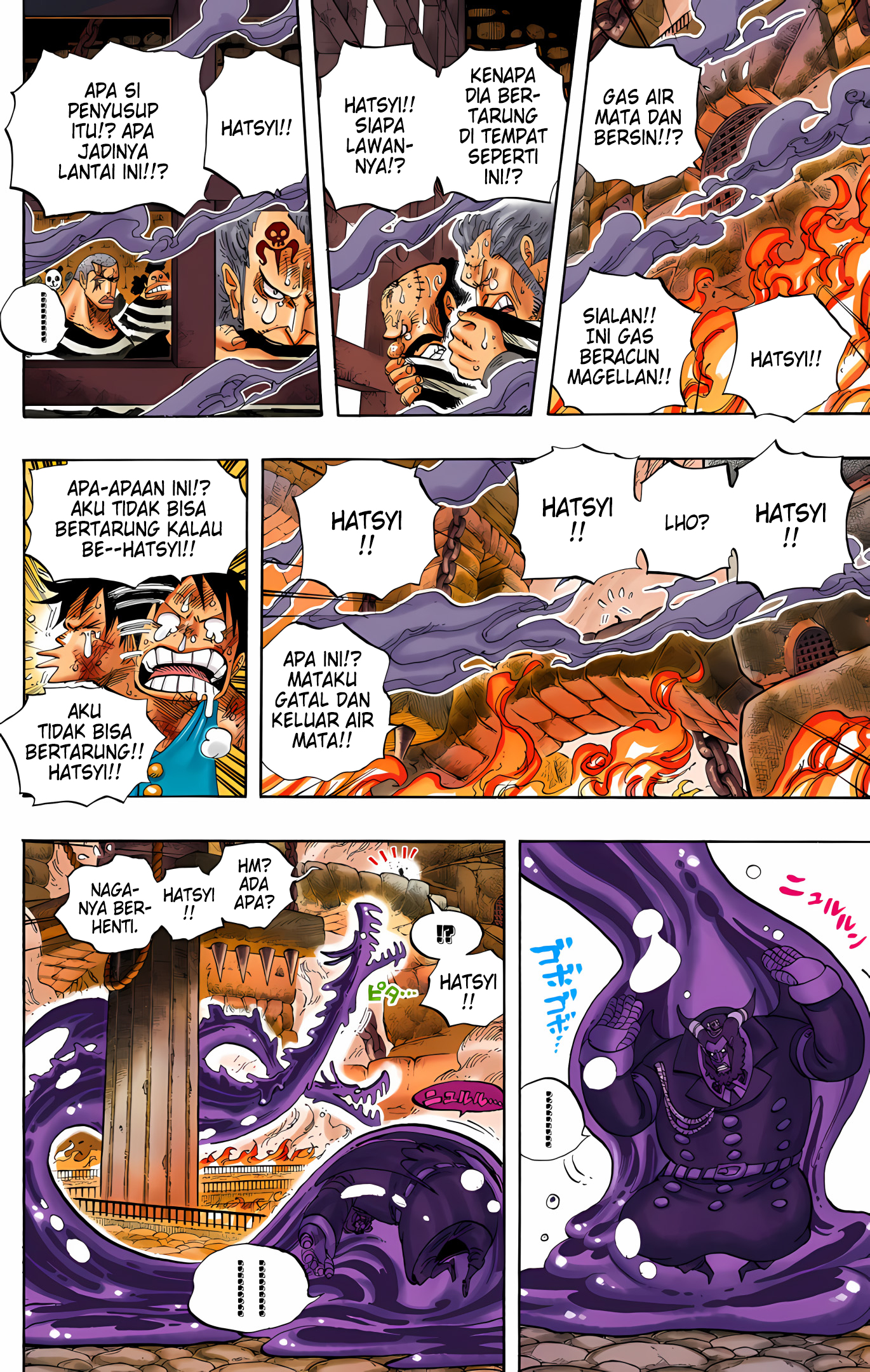 One Piece (Official Colored) Chapter 534 - halaman 11