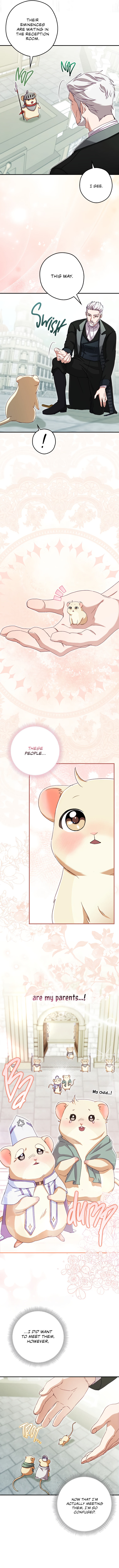 Halaman dari Cinderella's Pocket-Sized Protector Chapter 6