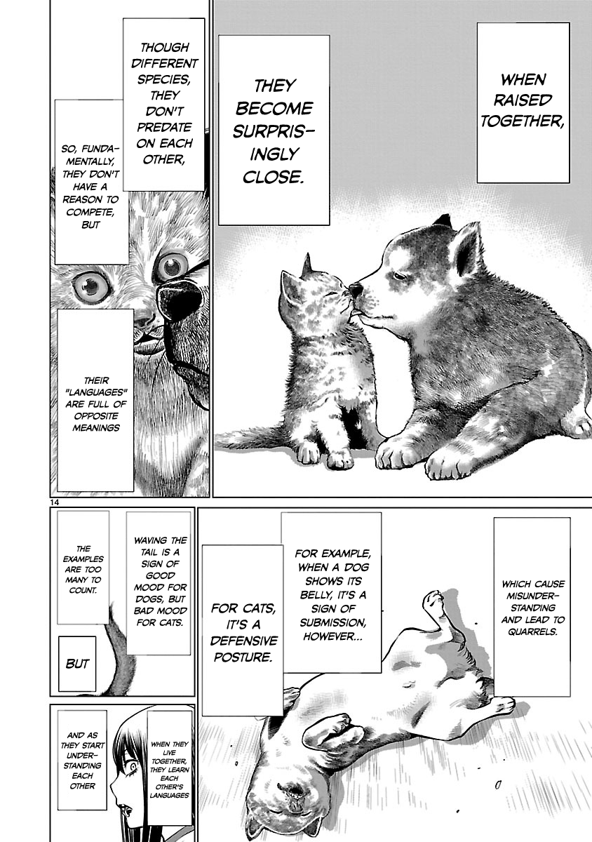 14