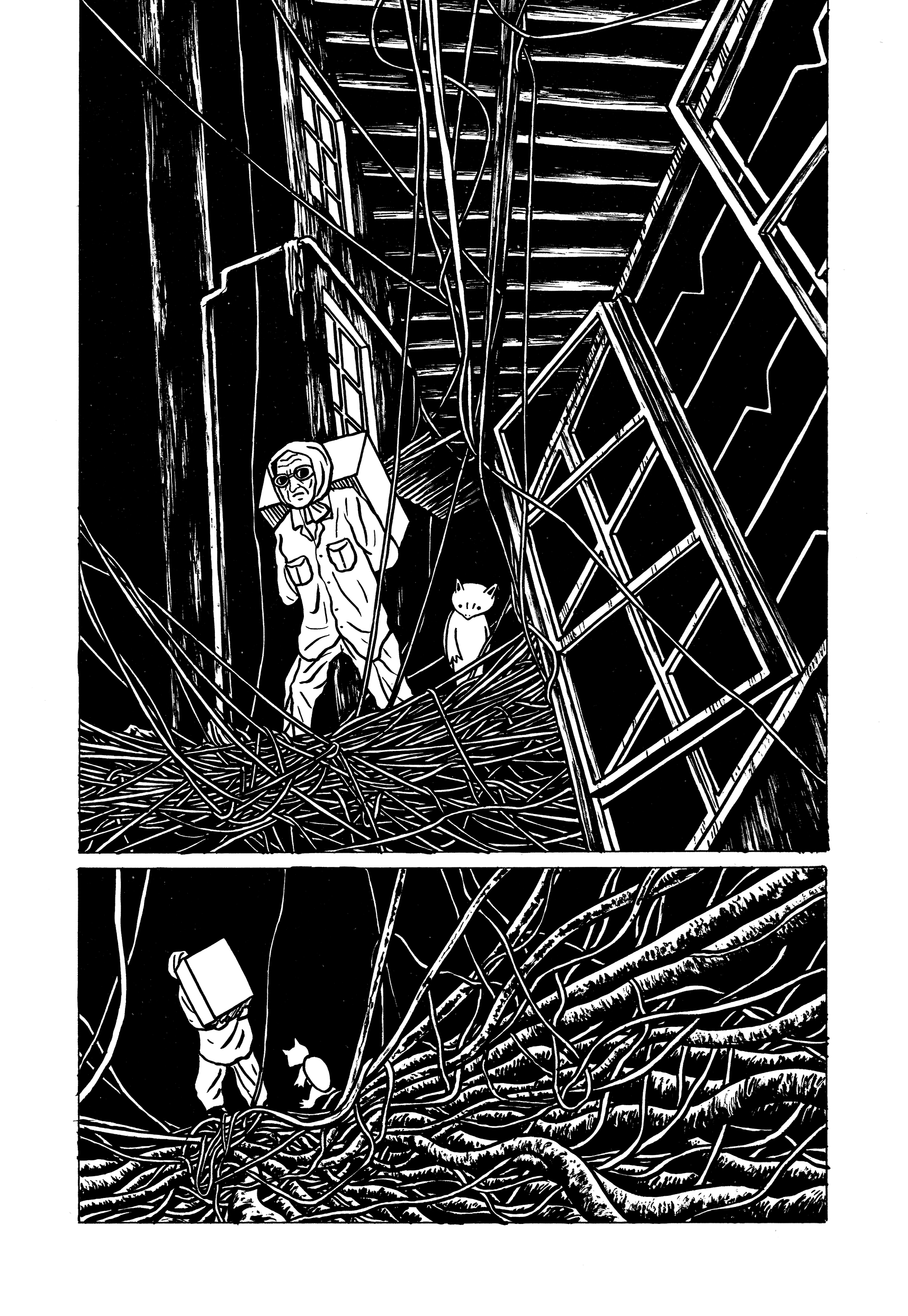40