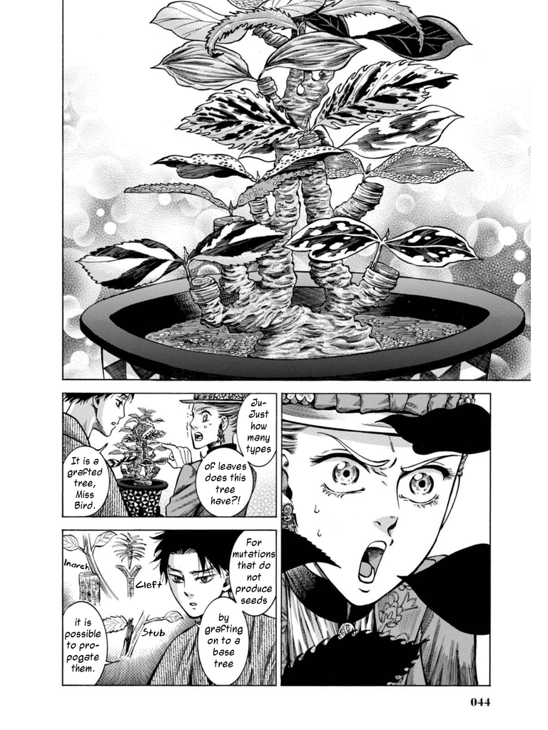 41