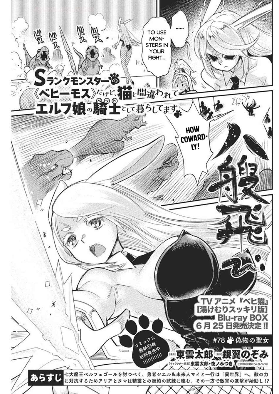 Halaman dari S-Rank Monster no "Behemoth" Dakedo, Neko to Machigawarete Elf Musume no Pet to Shite Kurashitemasu Chapter 78