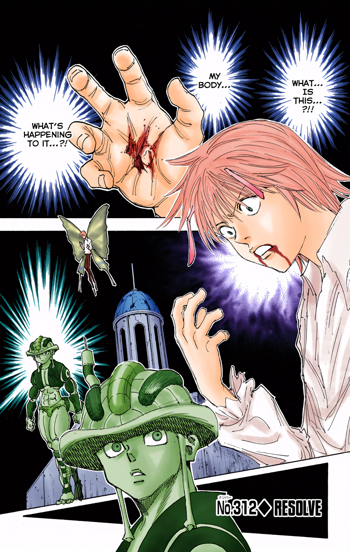 Halaman dari HUNTER x HUNTER (Official Colored) Chapter 312