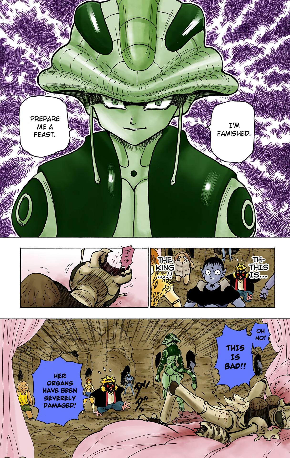 Halaman dari HUNTER x HUNTER (Official Colored) Chapter 213