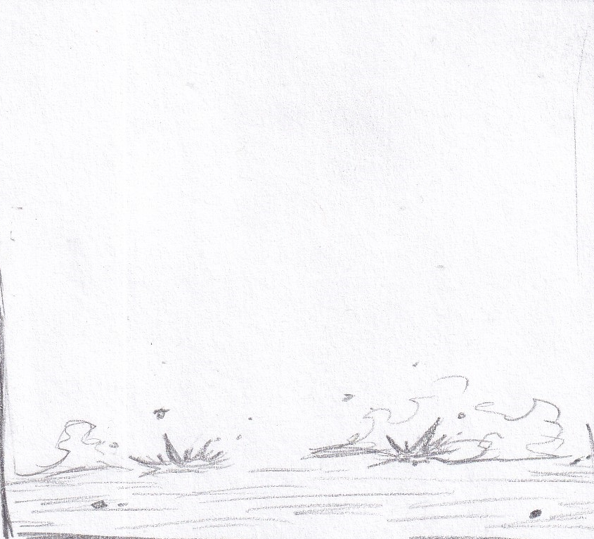 54