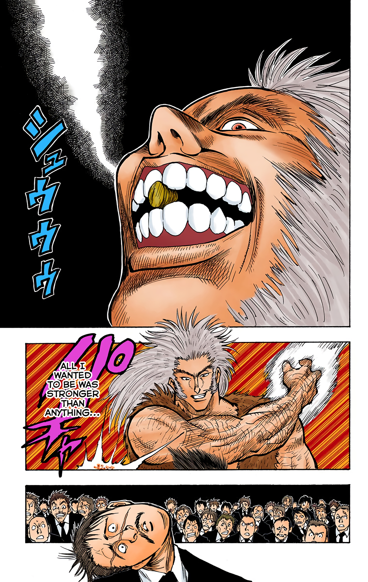 Halaman dari HUNTER x HUNTER (Official Colored) Chapter 75