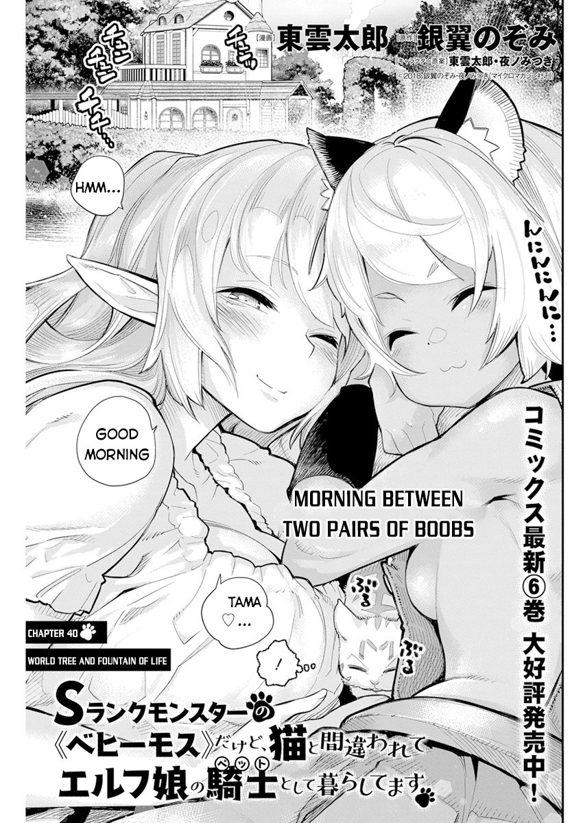 Halaman dari S-Rank Monster no "Behemoth" Dakedo, Neko to Machigawarete Elf Musume no Pet to Shite Kurashitemasu Chapter 40