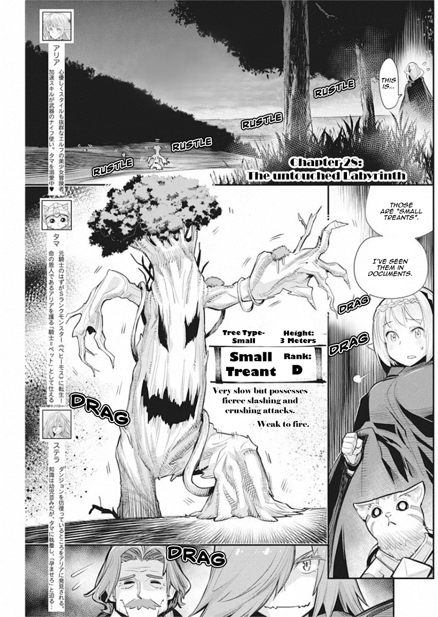 Halaman dari S-Rank Monster no "Behemoth" Dakedo, Neko to Machigawarete Elf Musume no Pet to Shite Kurashitemasu Chapter 28