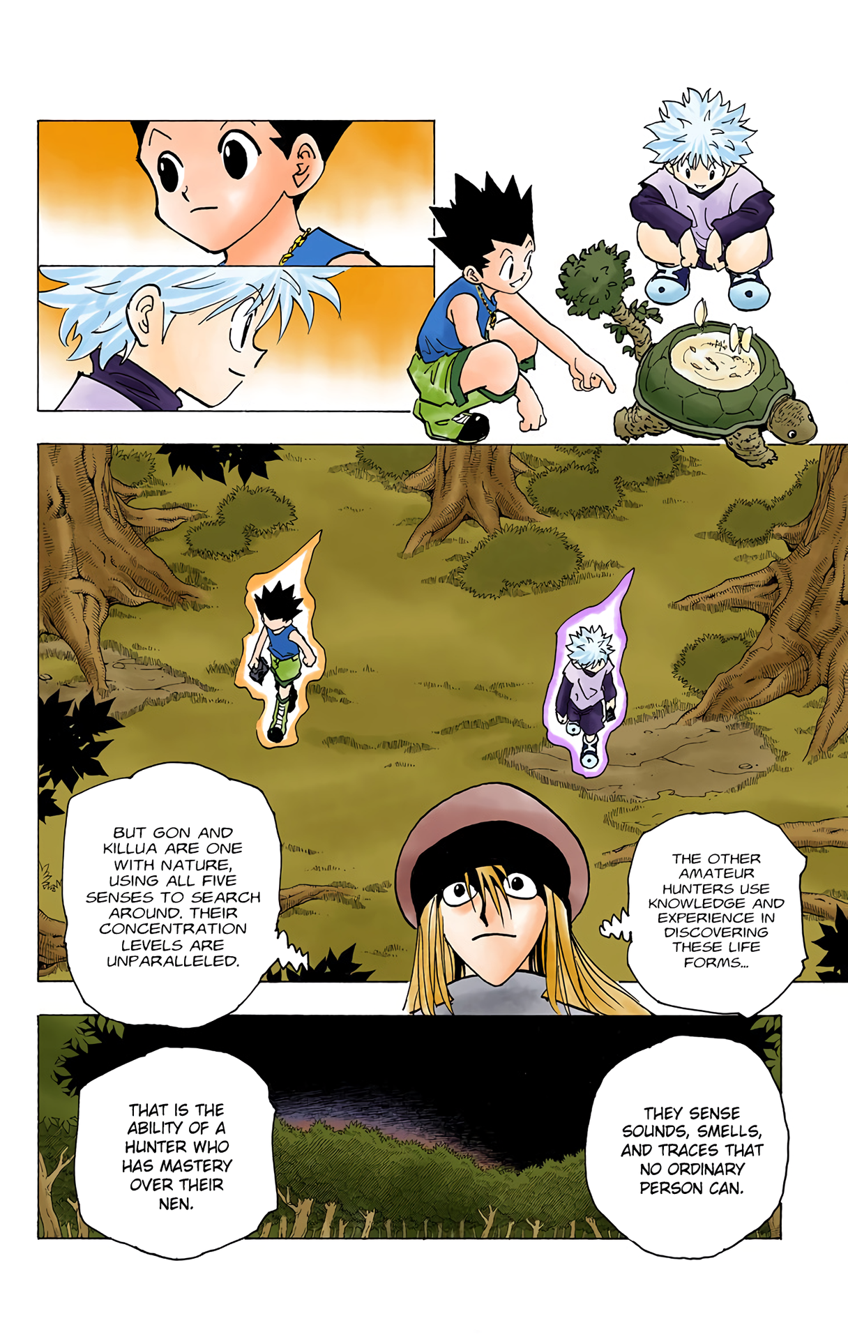 Halaman dari HUNTER x HUNTER (Official Colored) Chapter 186