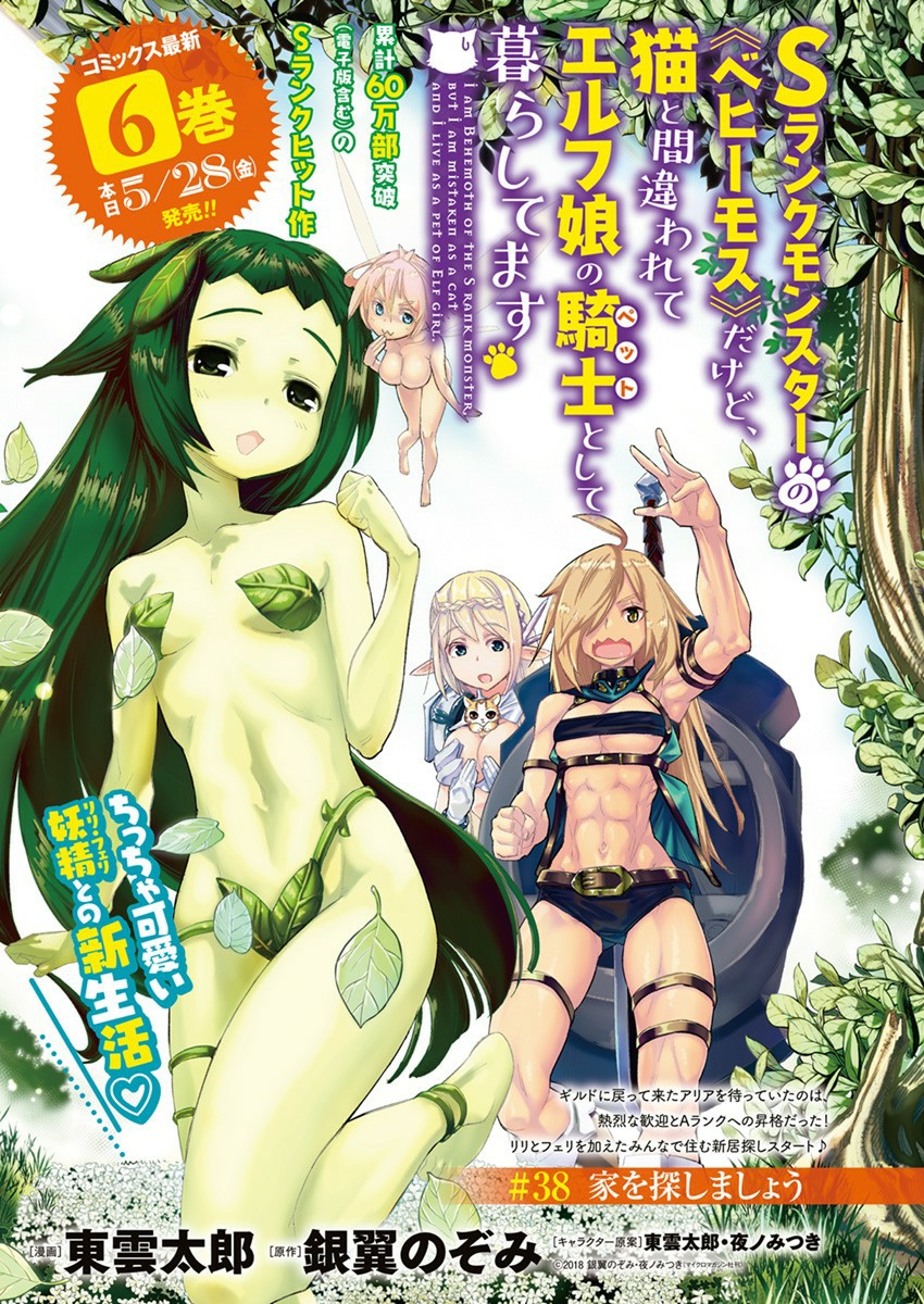 Halaman dari S-Rank Monster no "Behemoth" Dakedo, Neko to Machigawarete Elf Musume no Pet to Shite Kurashitemasu Chapter 38