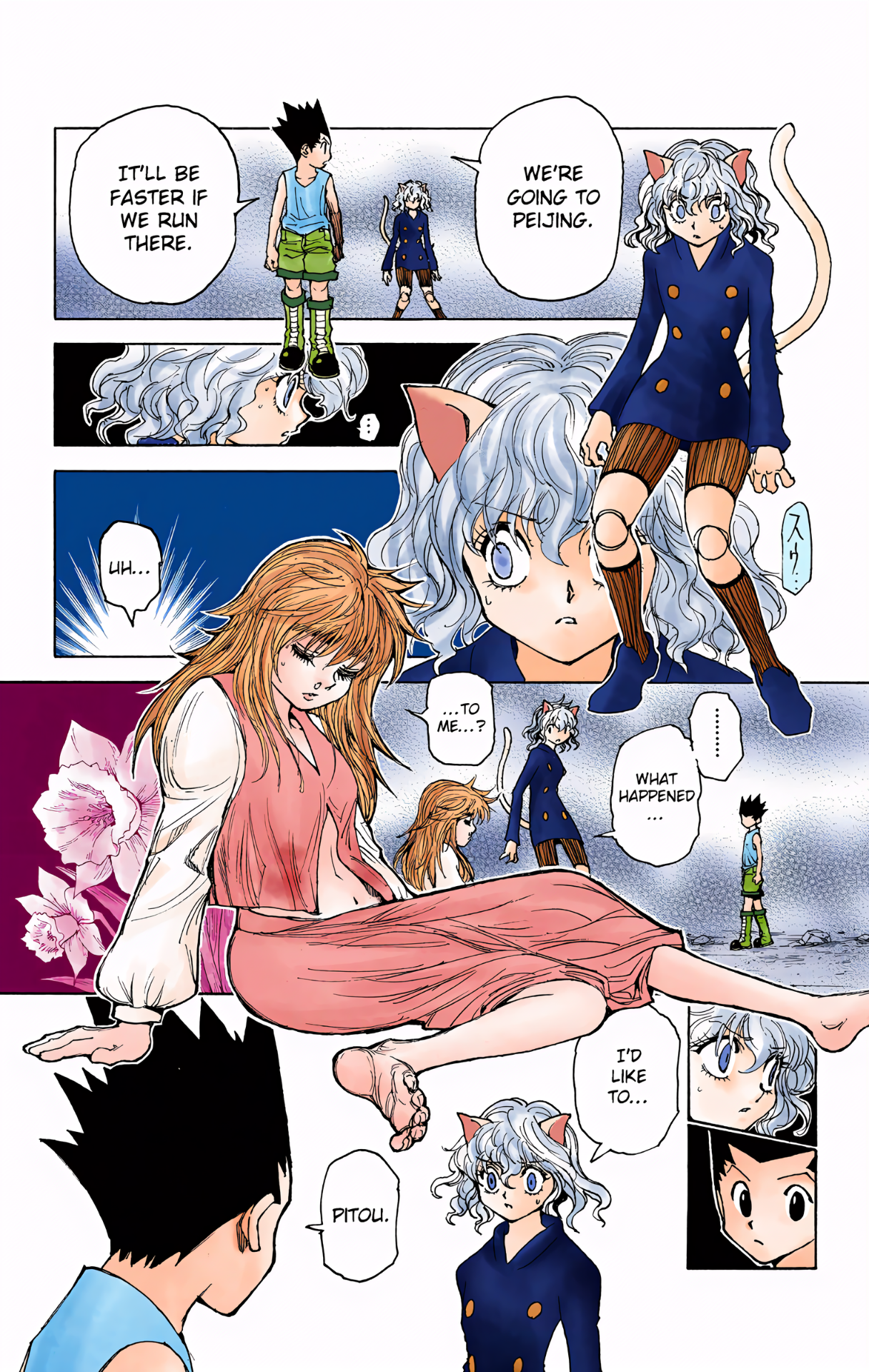 Halaman dari HUNTER x HUNTER (Official Colored) Chapter 300