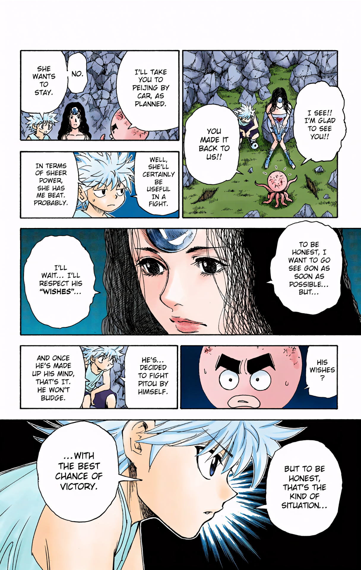Halaman dari HUNTER x HUNTER (Official Colored) Chapter 300