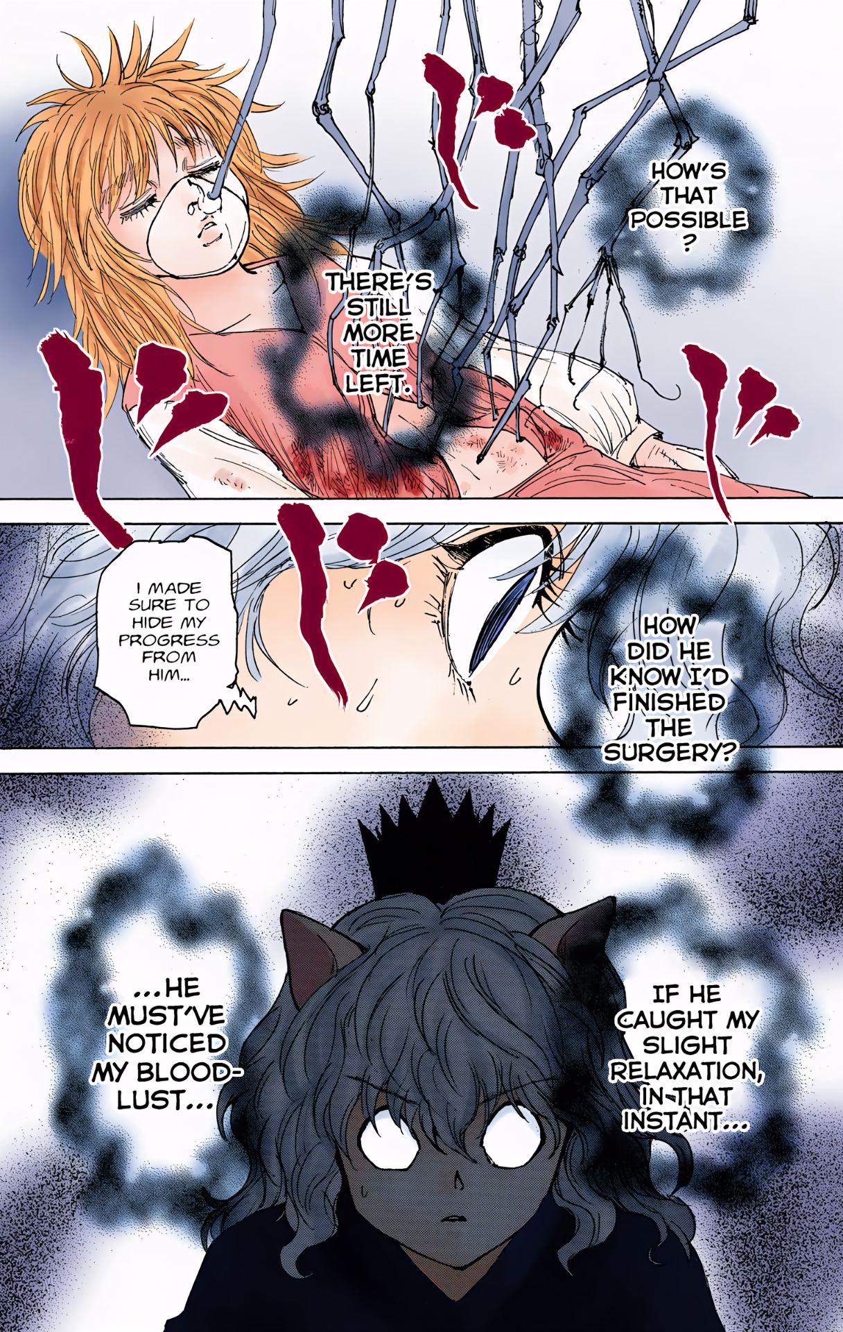 Halaman dari HUNTER x HUNTER (Official Colored) Chapter 300
