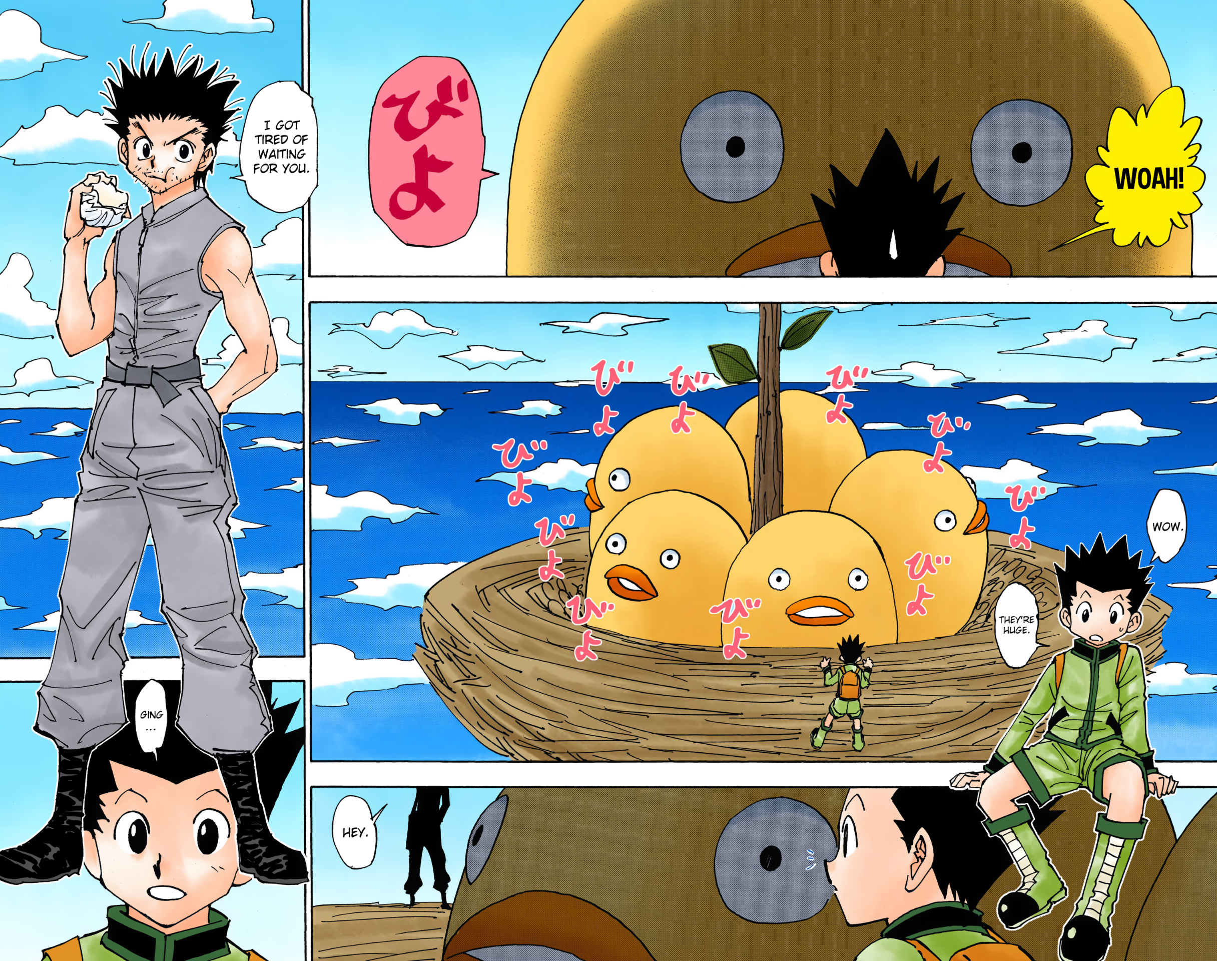 Halaman dari HUNTER x HUNTER (Official Colored) Chapter 338
