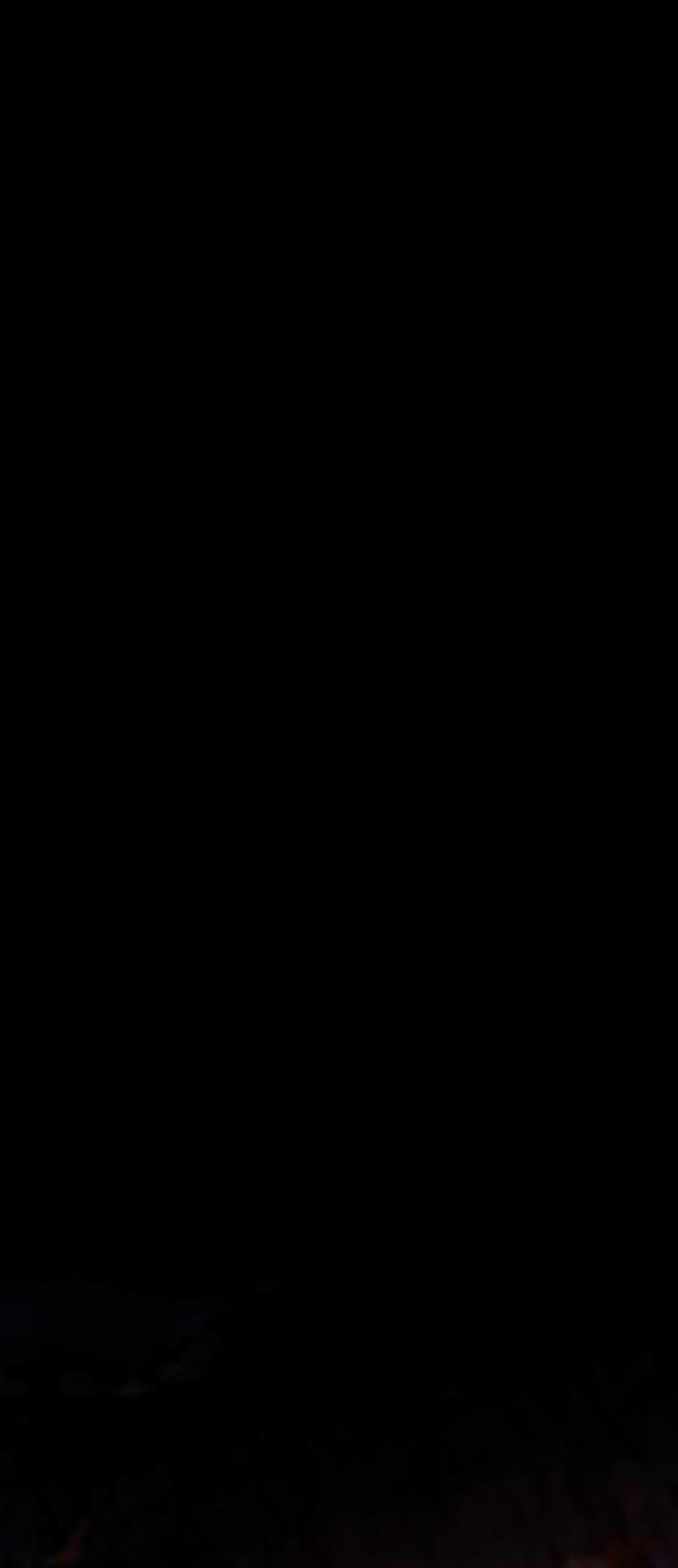 91