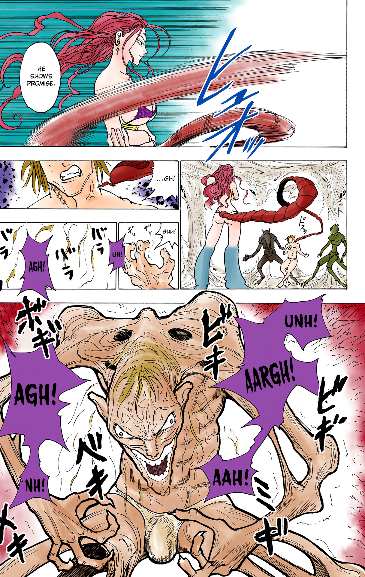 Halaman dari Hunter x Hunter (Official Colored) Chapter 224