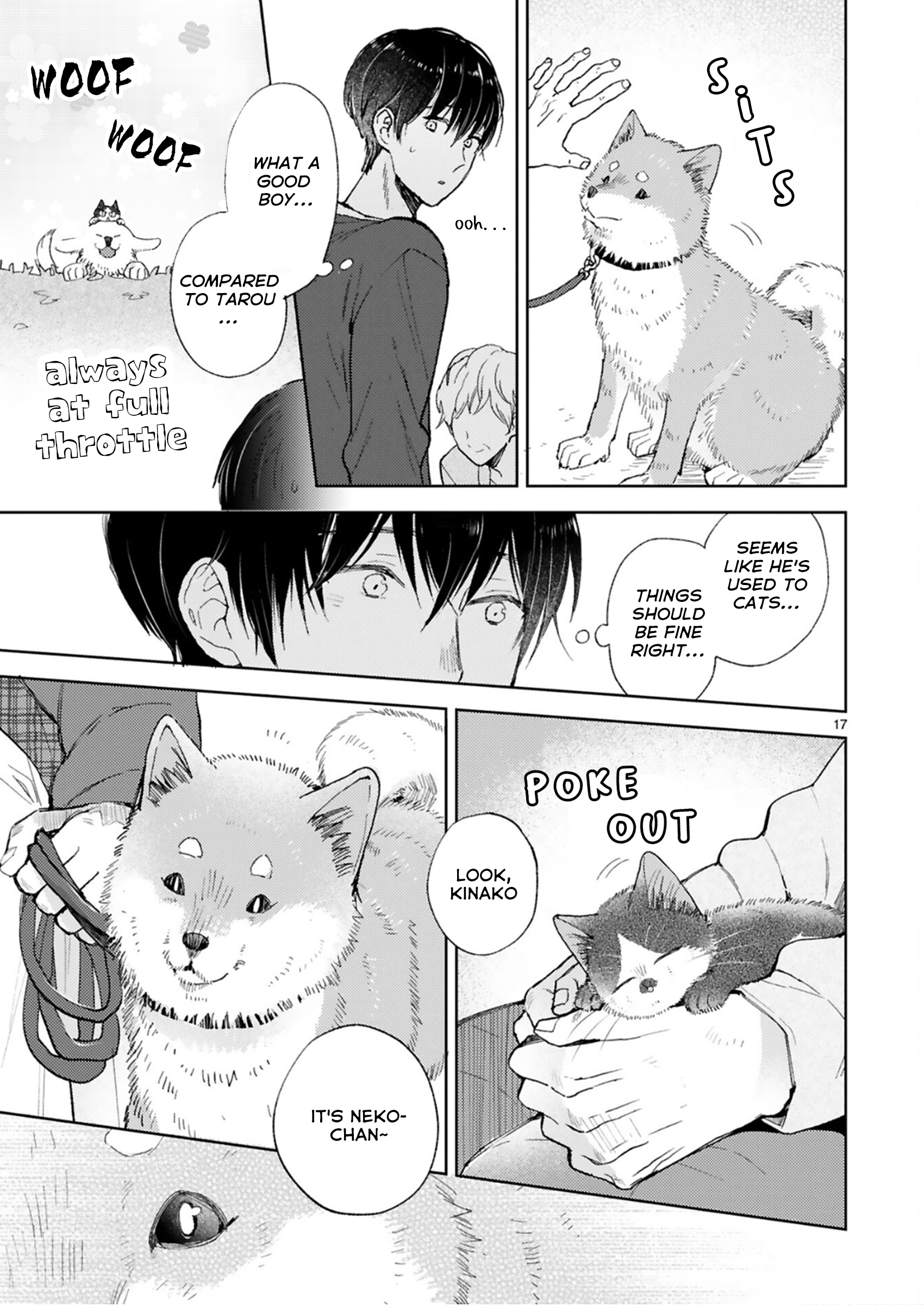 17