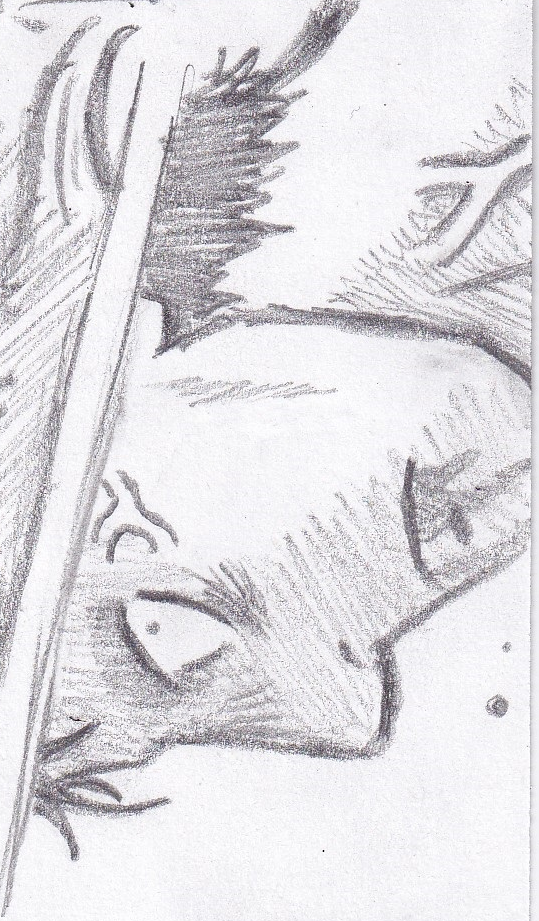 70