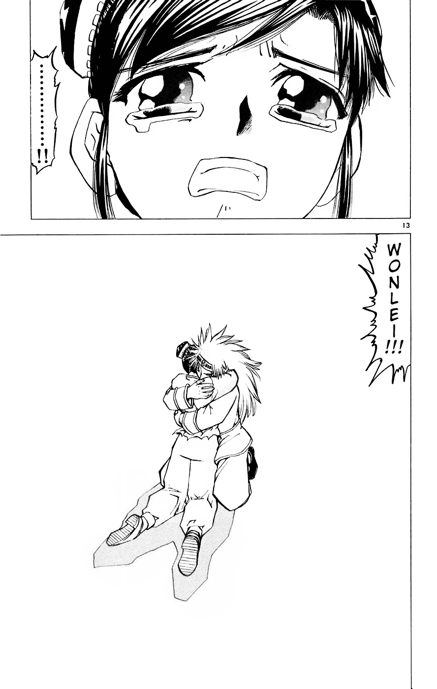 13