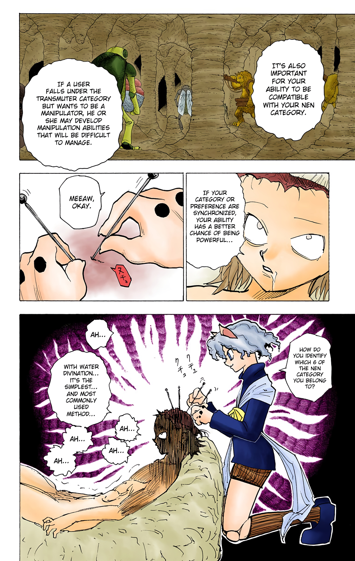 Halaman dari HUNTER x HUNTER (Official Colored) Chapter 198