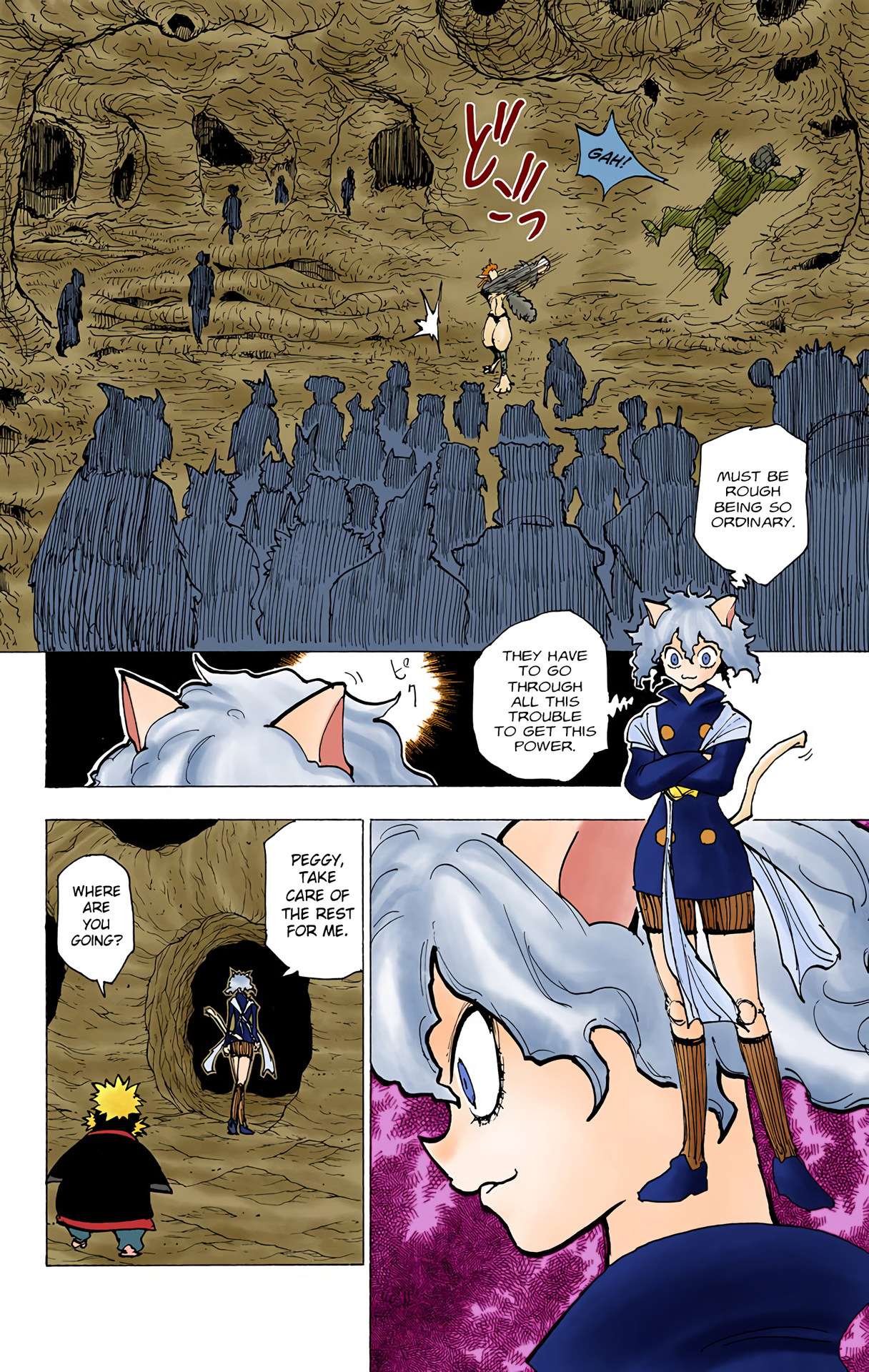 Halaman dari HUNTER x HUNTER (Official Colored) Chapter 198