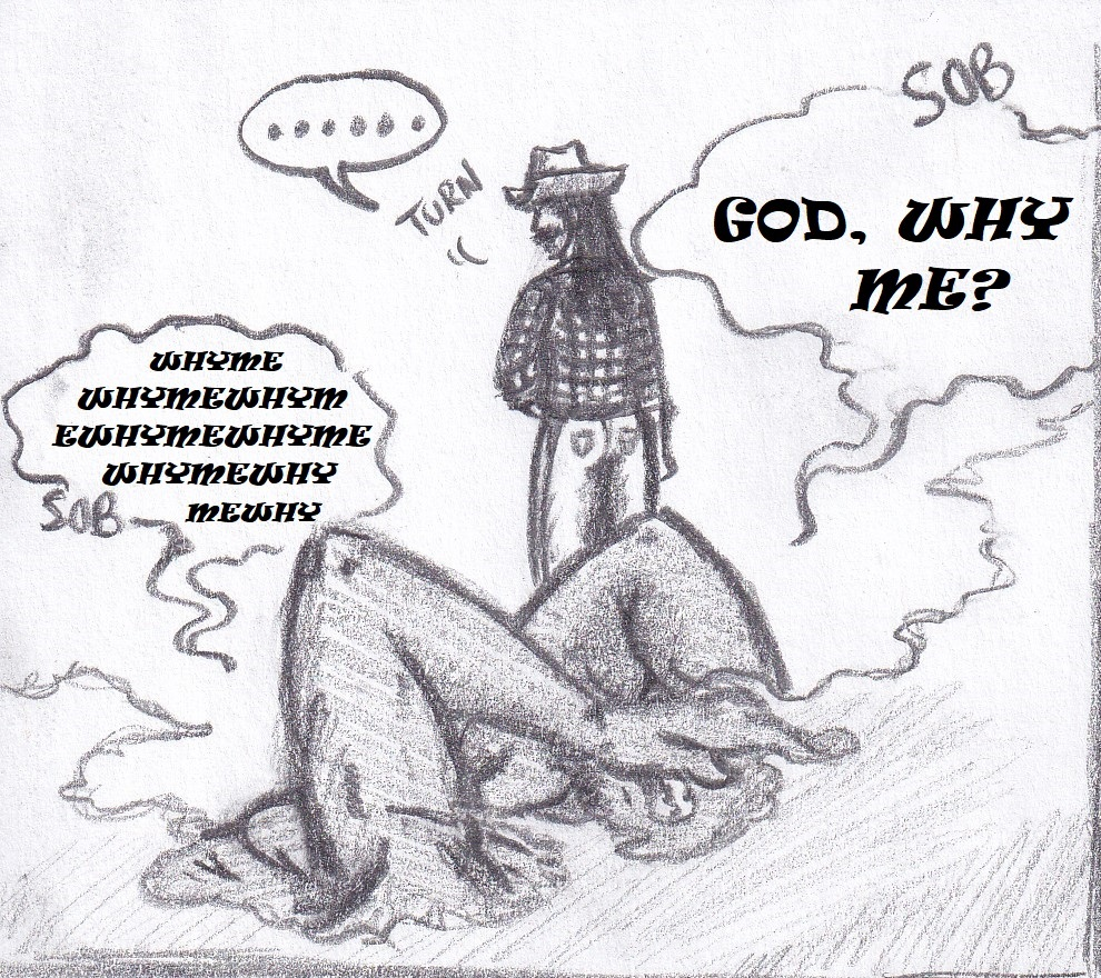 36