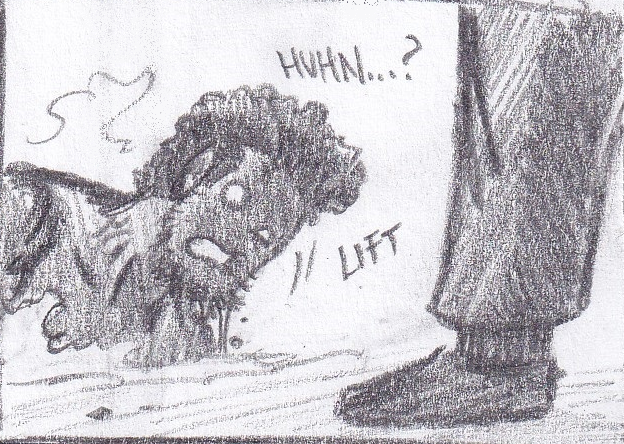 51