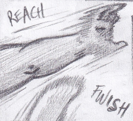 91