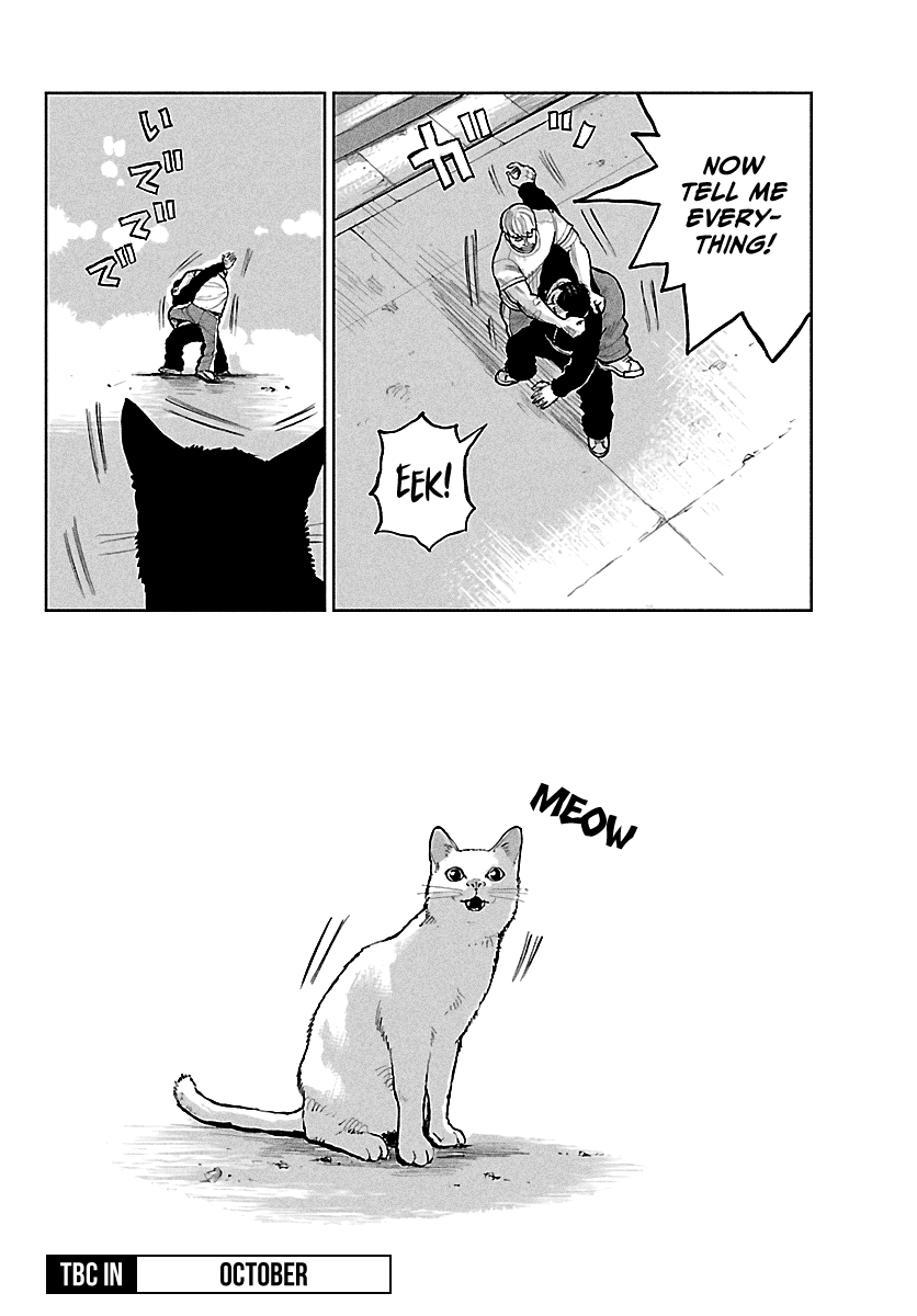 43