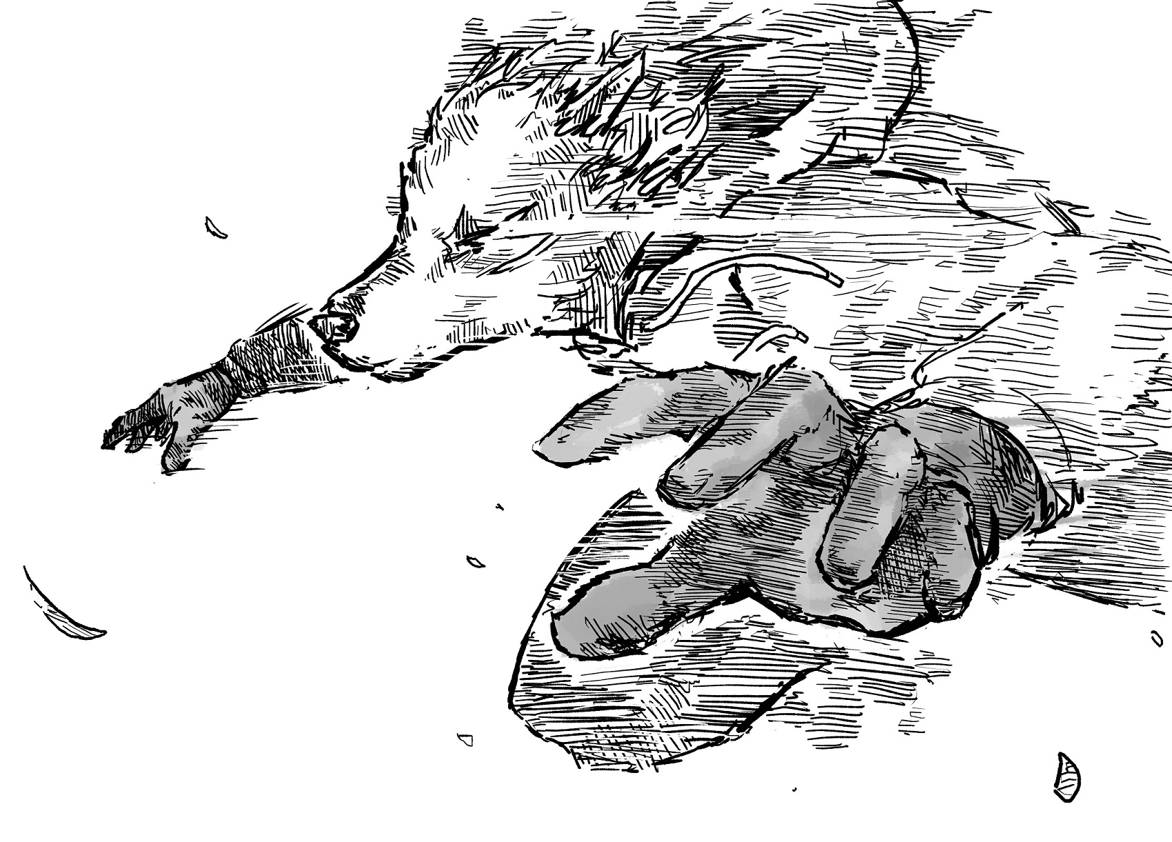 33